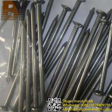 Common Nails Common Iron Nail Common Wire Nail